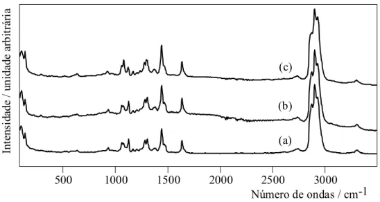 Figura 5.37 – Espectros FT-Raman de tecido exposto à água do batch de Germano. 