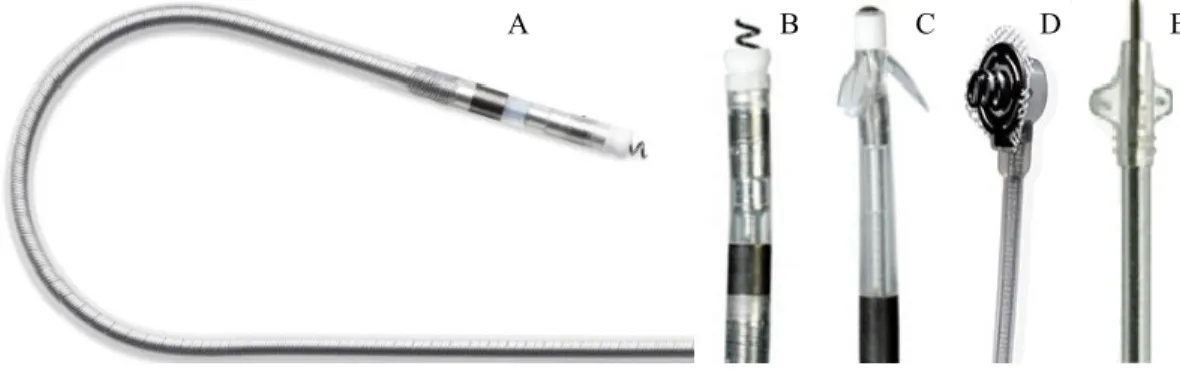 Figura 2 – Tipos de elétrodos. 