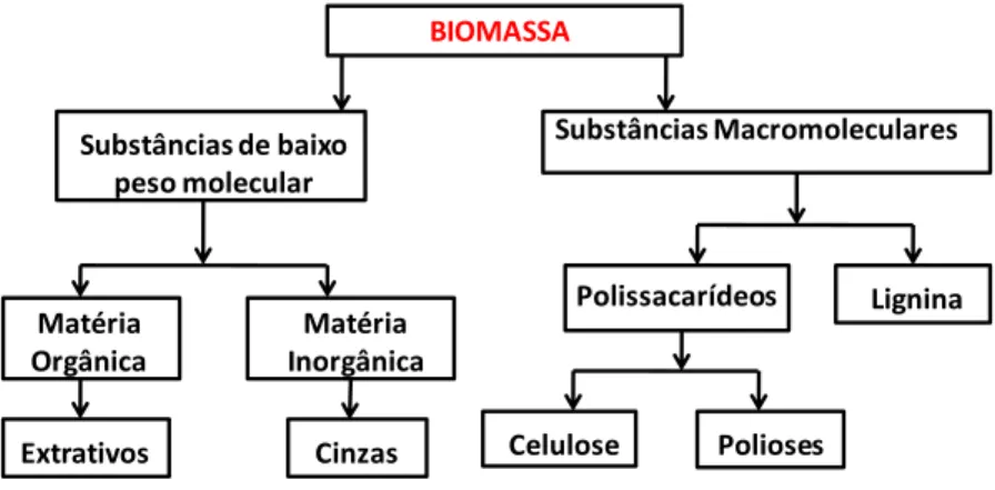 Figura 3.2: Principais constituintes da madeira (adaptado de Mohan et al., 2006). 