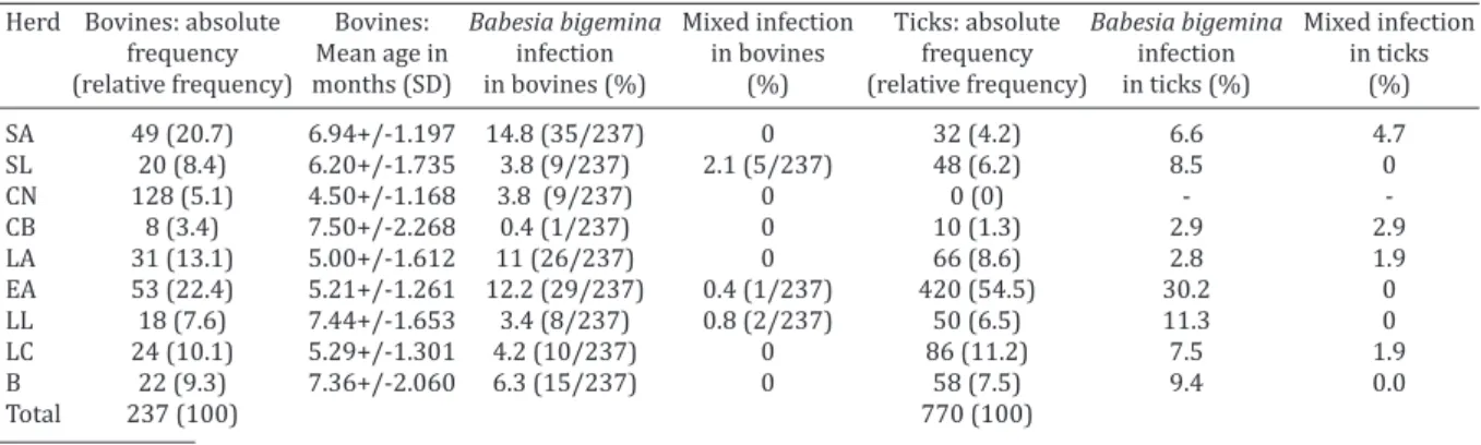 Table 1. Sampled bovine population distribution by age, distribution of ticks percentage and frequency of  Babesia sp