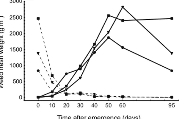 FIG. 2. Weed fresh weight as affected by increasing duration after emergence of corn crop  main-tained as weed free (- -) for increasing  dura-tions after emergence or weed infested (  _____  ) for increasing durations after  emer-gence