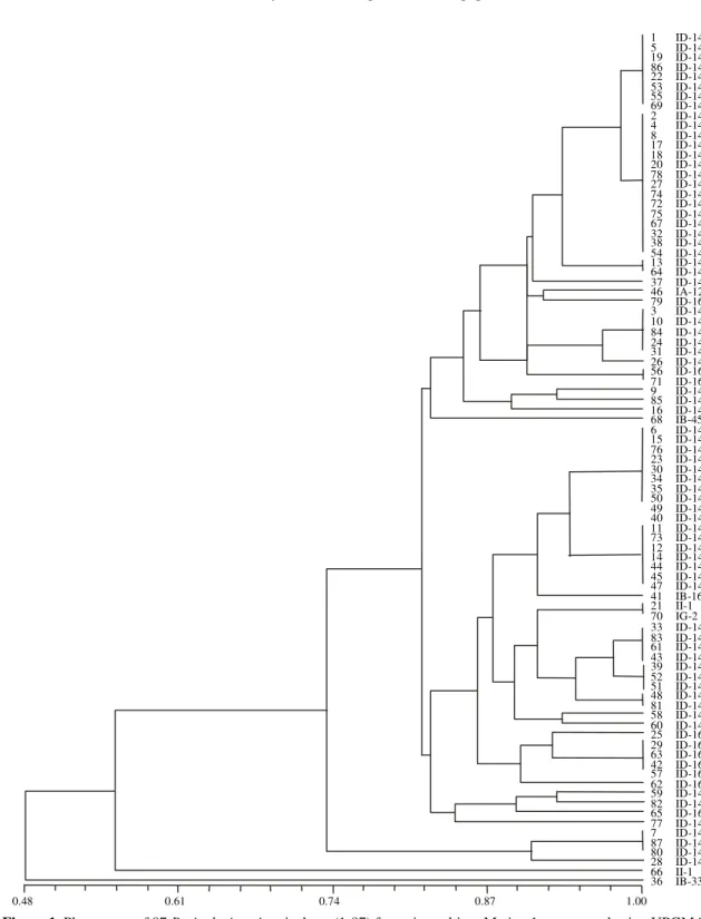 Figure 1. Phenogram of 87 Pyricularia grisea isolates (1-87) from rice cultivar Metica-1 constructed using UPGMA based an Jaccard’s similarity coefficients; data from phenotypic virulence analysis; scale on bottom represents coefficients of similarity; pat