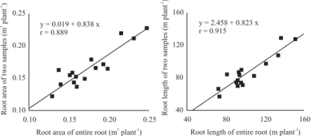 Table 1. Values of root area and length estimated from root samples or measured in the entire root system of common bean plants