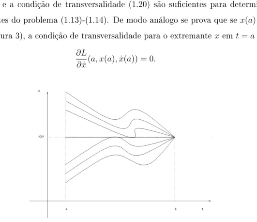 Figura 1.3: Problema com fronteira inicial livre.