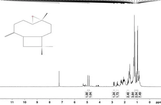 Figura 16S. Espectro de RMN de  13 C e experimentos DEPT 90° e 135° (75 MHz, CDCl 3 ) do composto 4 (Óxido de Cariofileno)Figura 15S