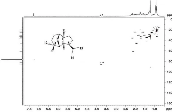 Figura 3S. Experimento HSQC (300/75 MHz, CDCl 3 ) do composto 1 ((rel)-6b,2b-epóxi-5b-hidróxi-isodaucano)