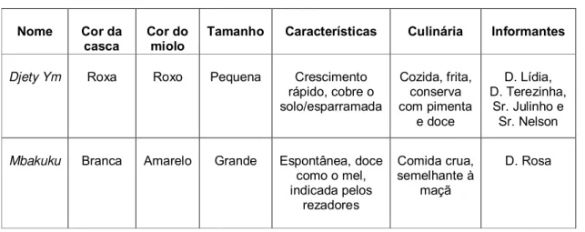 Tabela 2. Memória da agrobiodiversidade de batata doce ( Ipomoea batatas L .) na TI  Laranjinha 