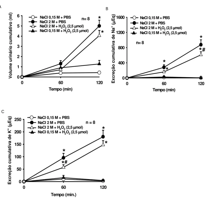 Figura  5-  Efeito  do  pré-tratamento  com  H 2 O 2   (2,5  mol/1  l)  ou  PBS  ventrículo  lateral  sobre  as  alterações  no  (A)  volume  urinário,  (B)  excreção  de  sódio  e  (C)  excreção  de  potássio após gavagem intragástrica de NaCl 2 M ou 0,15