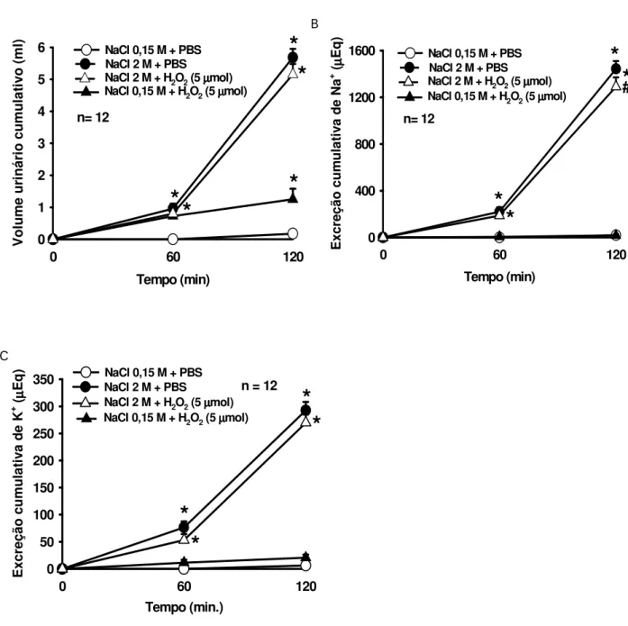 Figura 6- Efeito do pré-tratamento com H 2 O 2  (5  mol/1  l) ou PBS ventrículo lateral sobre  as alterações no (A) volume urinário, (B) excreção de sódio e (C) excreção de potássio após  gavagem intragástrica de NaCl 2 M ou 0,15 M