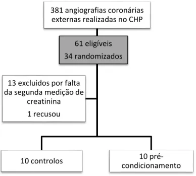 Figura 1 - Representação esquemática da seleção dos pacientes 381 angiografias coronárias 
