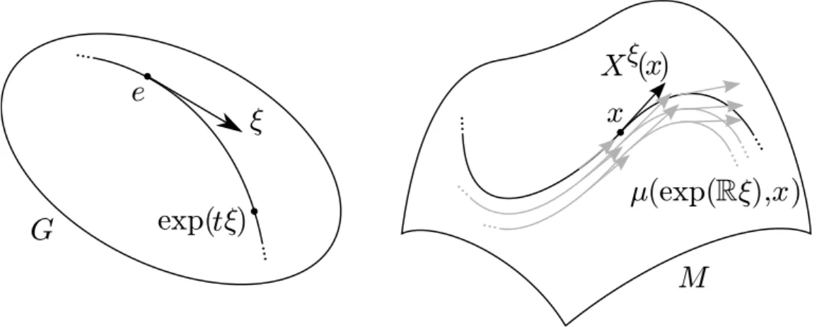 Figura 1.3: Campo de vetores induzido por uma a¸c˜ao.