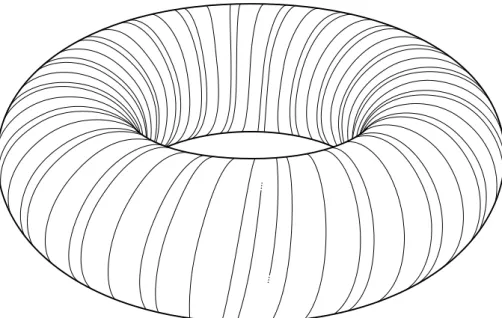 Figura 2.1: Curva de Kronecker no toro.