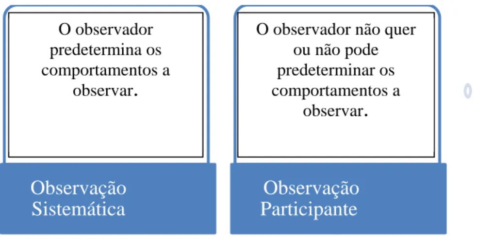 Gráfico 10 – Caracterização dos dois tipos de observação por Lessard-d-Herbert (1996) 