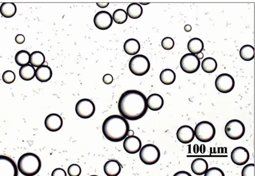 Fig. 1 Fotomicrografia representando as microesferas de PLGA. 