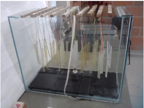 Figura 12. Instalação para a biodegradação contendo os corpos de prova e sistema de passagem de  água e ar