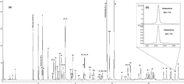 Figura 2. Esquema do procedimento de extração e limpeza