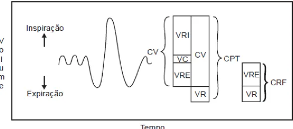 Figura 1. Subdivisão dos Volumes e Capacidades Pulmonares (Adaptado de Silva, 2005) 