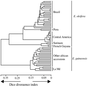 Figure 5. Relationships between 40 Elaeis oleifera and 21 E. guineensis accessions. UPGMA dendrogram based on Dice divergence index calculated with 169 AFLP markers revealed by three enzyme/primer combinations.