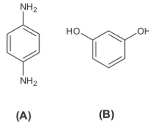 Figura 3. Estrutura química básica do 2-nitro- 1,4-diaminobenzeno, onde  os substuintes R1, R2, R3e R4 usualmente são combinações de: H, NH 2 ,  OH, OCH 3