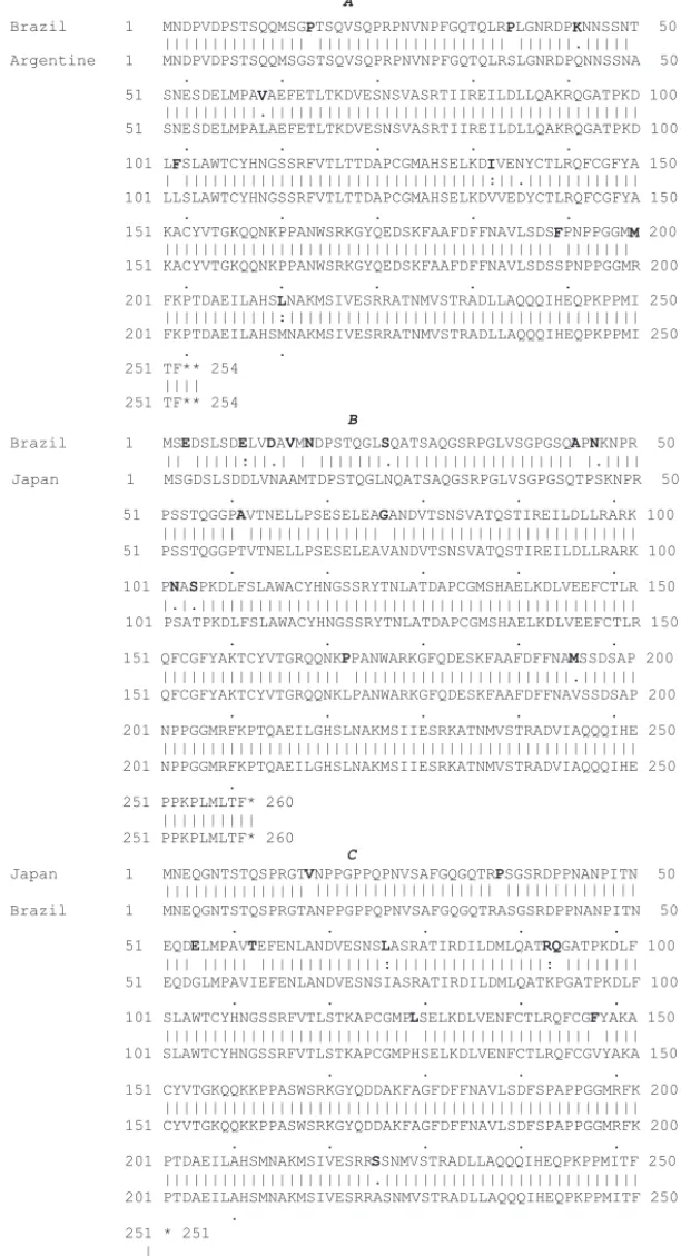 Figure 2. Amino acid alignment of the coat protein genes of Allexivirus species characterized in Brazil