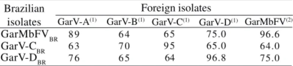 Table 1. Percent of amino acid sequence of Brazilian allexiviruses  Garlic mite-borne filamentous virus (GarMbFV BR ), Garlic virus C (GarV-C BR ), Garlic virus D  (GarV-D BR ) with related allexiviruses characterized in Japan and Argentine.