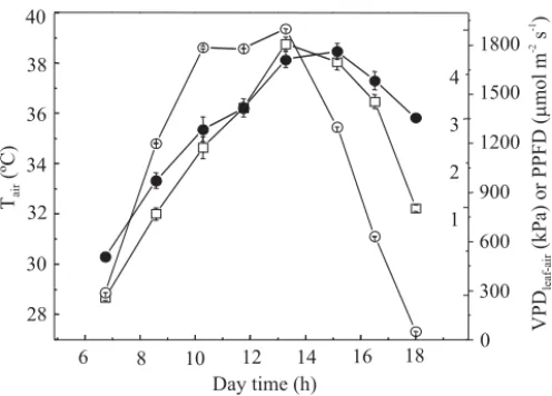 Figure 1. Daily courses of air temperature (T air :  ¨ ), leaf-to-air vapor pressure difference (VPD leaf-air :  l ) and photosynthetic photon flux density (PPFD: ¡) at full sunlight condition in summer season of Piracicaba, SP, Brazil