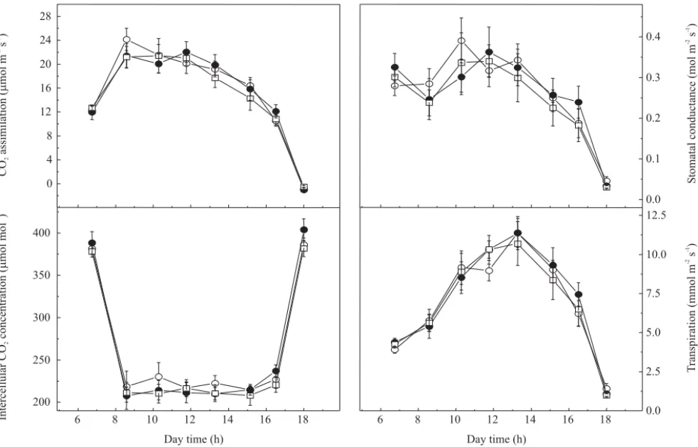 Figure 2. Daily courses of CO 2  assimilation, stomatal conductance, intercellular CO 2  concentration, and transpiration in bean genotypes ‘Carioca’ ( ¡ ), Guarumbé ( l ), and ‘Ouro Negro’ ( ¨ ) exposed to daily changes of environmental variables in Pirac