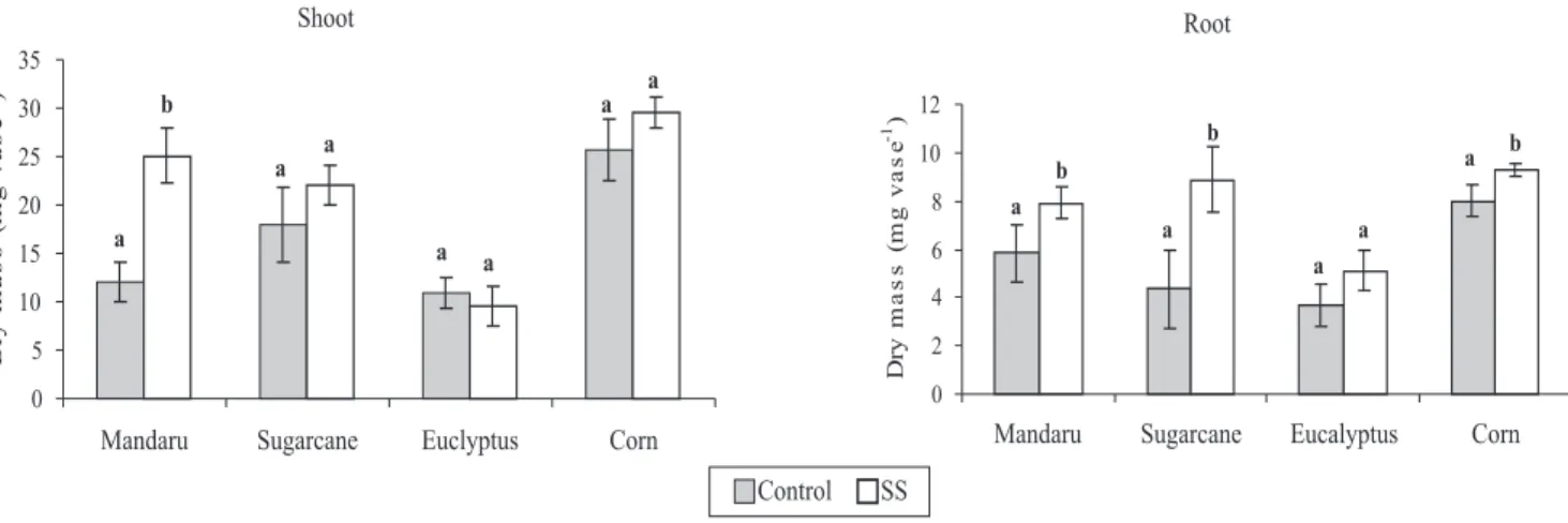 Figure 1. Dry mass produced by the shoots and roots from different plant species cultivated in sand (Control) or in sewage sludge-treated sand (SS)