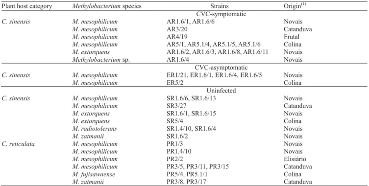 Table 1. Endophytic Methylobacterium strains collected in citrus variegated chlorosis (CVC) symptomatic, asymptomatic and uninfected plants.