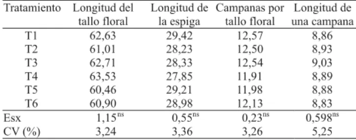 Cuadro 1. Longitud del tallo floral (cm), longitud de la espiga (cm), número de campanas por tallo floral y longitud de una campana (cm), en el cultivo del gladiolo, en consecuencia de la aplicación del nitrógeno (1) .