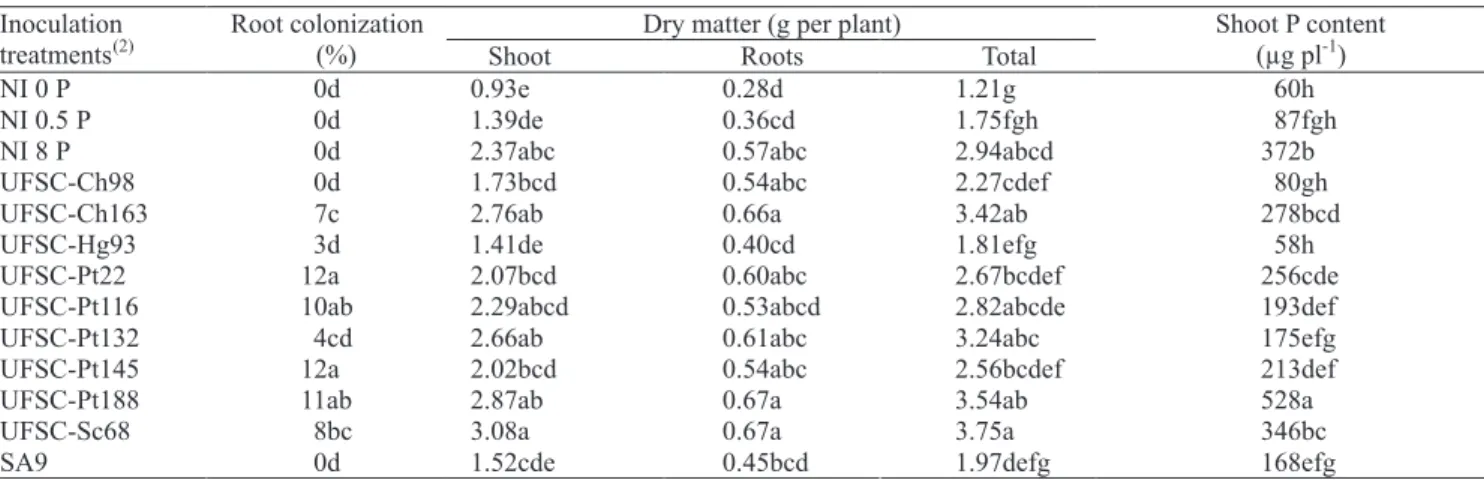 Table 1. Effect of the inoculation of Eucalyptus dunnii seedlings with ectomycorrhizal isolates on root colonization, plant dry matter and shoot phosphorus (P) content after three months in greenhouse (1) .