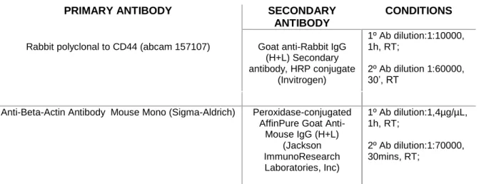 Table 1 - Specification of primary and secondary antibodies conditions 