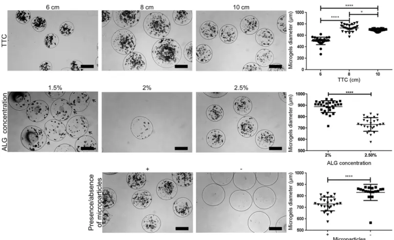 Fig 3. Influence of the distance between the tip of the needle to the collector (TTC), alginate concentration, and the presence/absence of microparticles on the diameter of alginate microgels produced by electrohydrodynamic atomization
