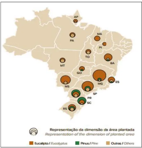 Figura 1. Distribuição dos plantios de monoculturas no Brasil, com a representação das culturas de  eucalipto e pinus (Fonte: Indústria Brasileira de Árvores, 2014)