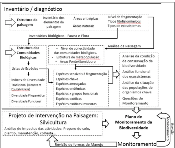 Figura  5  -  Fluxograma  de  analises  ambientais  que  poderiam  ser  realizadas  na  fase  de  diagnóstico  como  base  para  o  desenho  do  programa  de  monitoramento  da  fauna  nas  empresas  florestais  sob  certificação