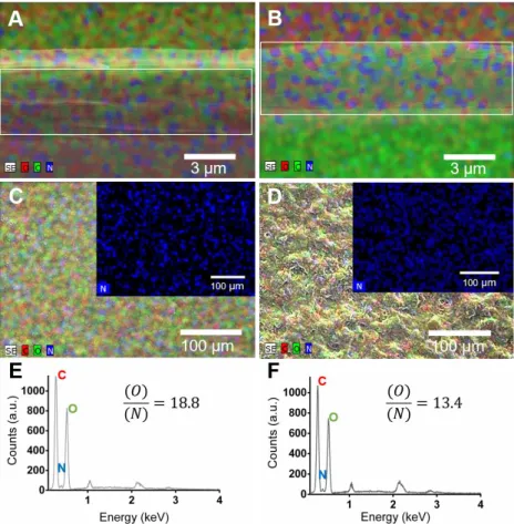 Figure 5. Mixed element map for carbon (C), oxygen (O) and nitrogen (N) of the cross-section of (A)  [CHT/HA] 200  and (B) [CHT/HA-DN] 200  freestanding membranes