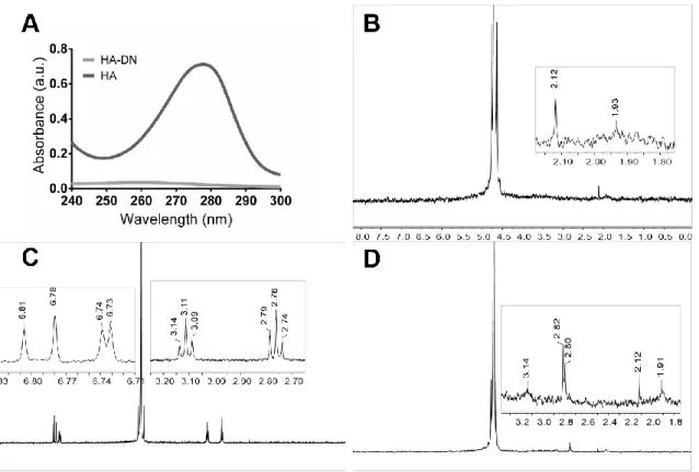 Figure 2. Characterization of conjugated dopamine-modified hyaluronic acid. (A) Ultraviolet–visible  (UV–Vis) spectra of the control (HA) and the catechol-based conjugate (HA-DN)