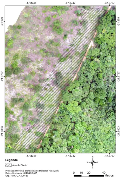 Figura  1.  Imagem  aérea  do  local  de  estudo.  O  destaque  hachurado  corresponde  à  área  das  parcelas em que foi feito o plantio das mudas