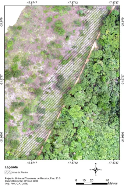 Figura  1.  Imagem  aérea  do  local  de  estudo.  O  destaque  hachurado  corresponde  à  área  das  parcelas em que foi feito o plantio das mudas