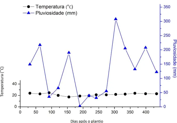 Figura 2.Variação da temperatura  e pluviosidade ao longo dos dias de  experimento. Dados  obtidos da Estação Meteorológica da Embrapa Pecuária Sudeste, São Carlos-SP