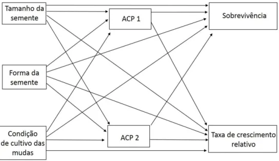 Figura 3. Modelo  completo mostrando as  relações testadas entre a  condição de cultivo  das  mudas, os traços funcionais e as taxas de sobrevivência e crescimento relativo das plantas
