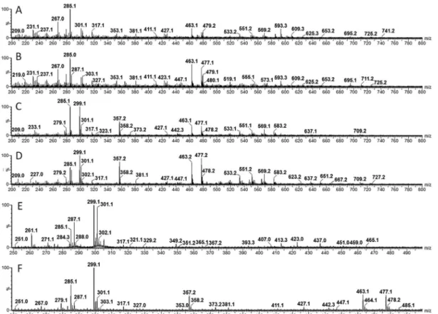 Figura 2. Espectros de IES(+)-EM obtidos para as amostras denominadas: A) acesso 3, B) acesso 5, C) acesso 6, D) acesso 9, E) acesso 6 sem tratamento  enzimático e F) acesso 6 com tratamento enzimático