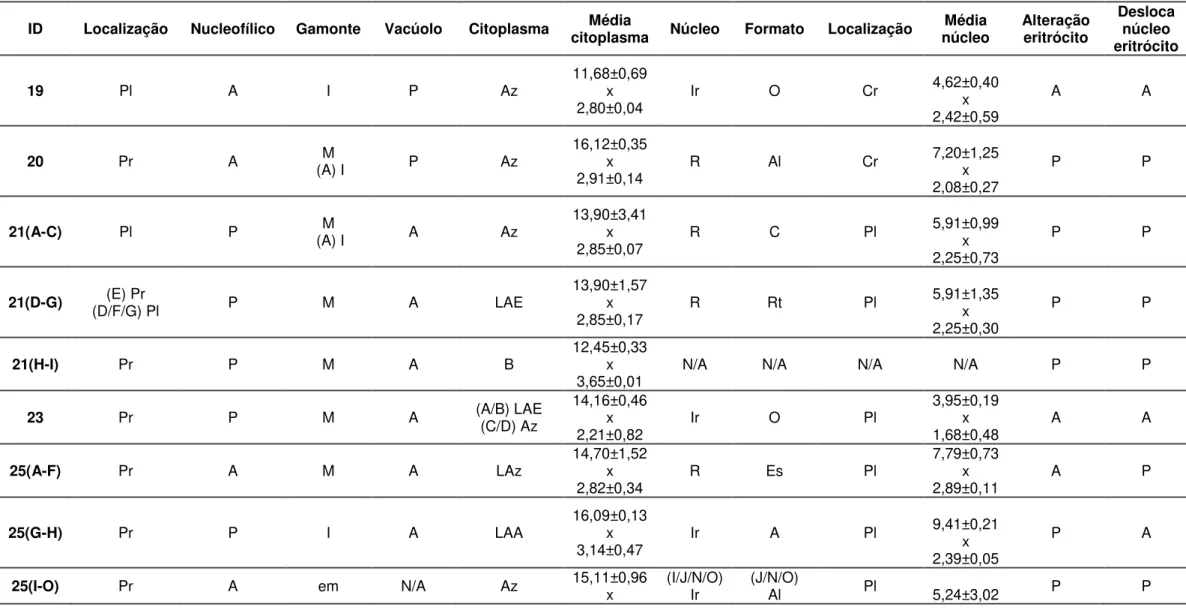 Tabela 6- Descrição morfológica de Hepatozoon spp. encontrados nas amostras utilizando microscopia óptica