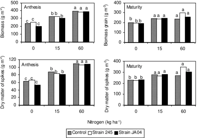 FIG.  2. Effect  of  wheat  (T.  aestivum L.,  cv.  BR  23)  inoculation  with  Azospirillum  brasilense  strains  245  and JA 04, and doses of nitrogen on the production of dry matter (g m -2 ), at anthesis and maturity