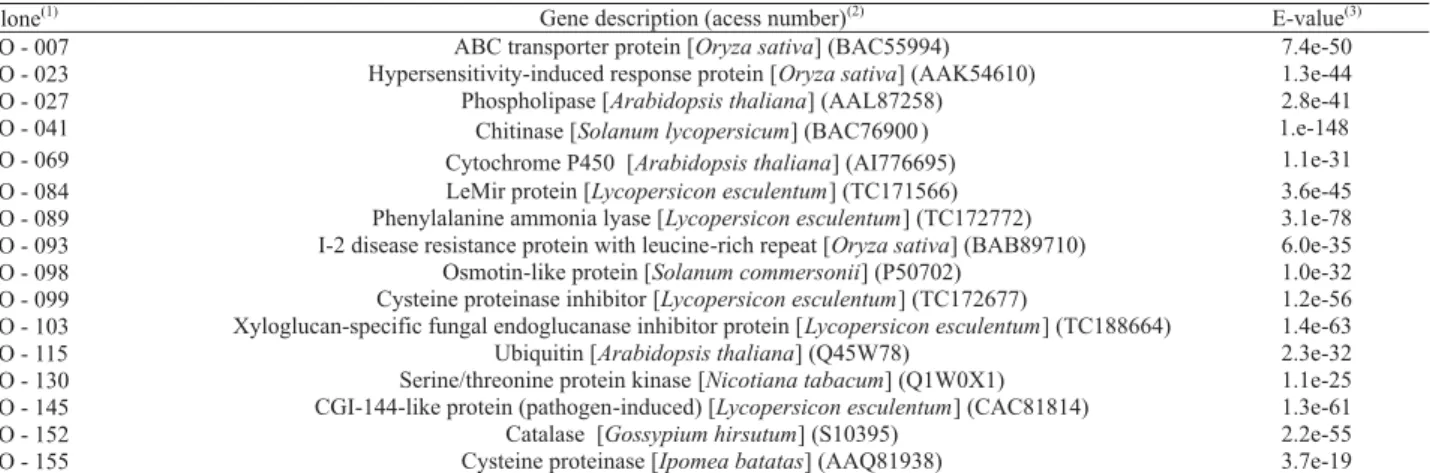 Table 3. Identi ﬁ  cation of tomato (Lycopersicon esculentum) genes induced by F. oxysporum f.sp