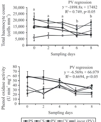 Figure 2. Total haemocyte count and phenol oxidase activity three hours after Vibrio harveyi challenge and negative control of probiotic and control groups