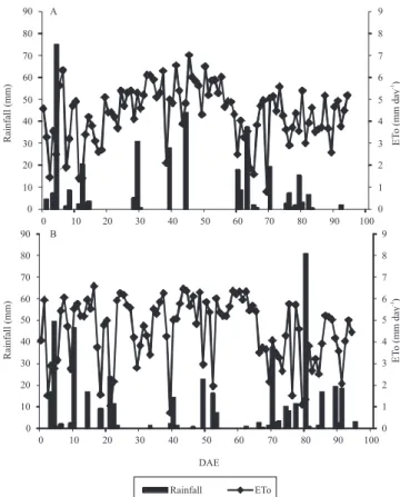 Figure 1.  Rainfall and reference evapotranspiration (ETo) as  function of days after the emergence (DAE) of maize plants,  during  the  2001/2002  (A)  and  2002/2003  (B)  cropping  seasons. Eldorado do Sul, Brazil.