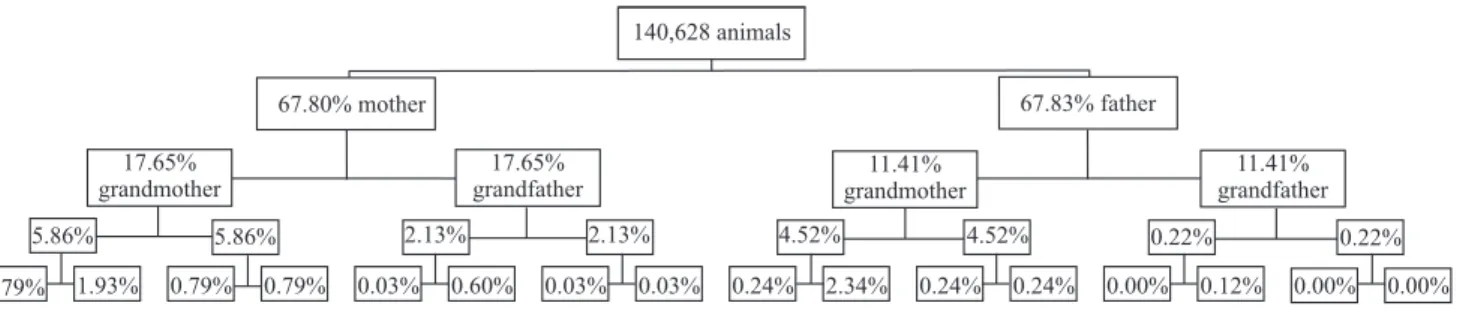 Figure 4. Pedigree completeness of Nelore breed registered in Northern Brazil.