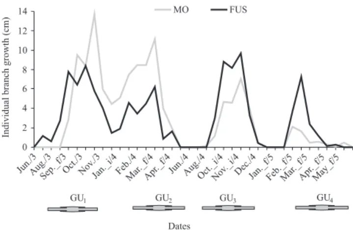 Figure 1. Average growth of yerba mate individual branches,  observed  between  two  consecutive  measures  in  two  growth  environments (MO, monoculture, and FUS, forest understory); 