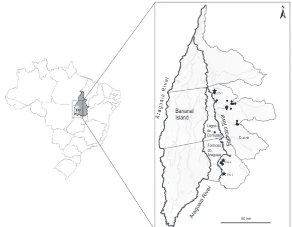 Figure 1.  Irrigated rice fields sampled for M. oryzae pathotype diversity in the Araguaia River  Valley, state of Tocantins, Central Brazil